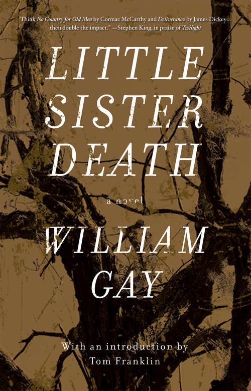 Book cover of Little Sister Death