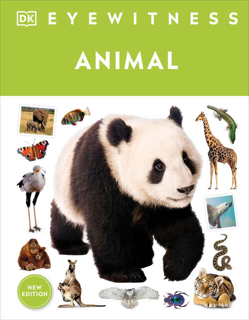 Book cover of Eyewitness Animal (DK Eyewitness)