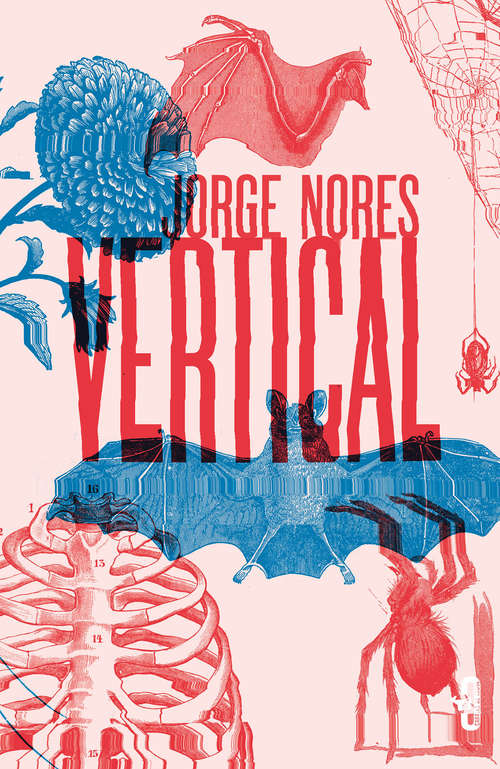 Book cover of Vertical