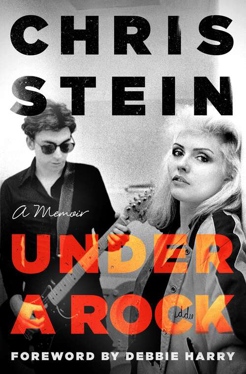 Book cover of Under a Rock: A Memoir