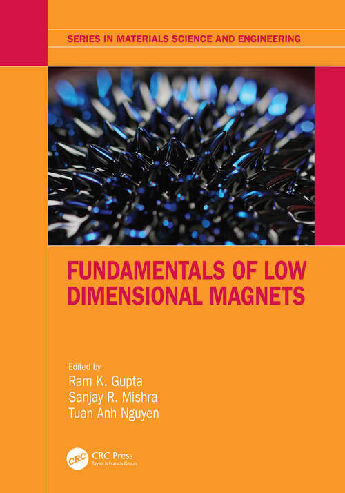 Book cover of Fundamentals of Low Dimensional Magnets (Series in Materials Science and Engineering)