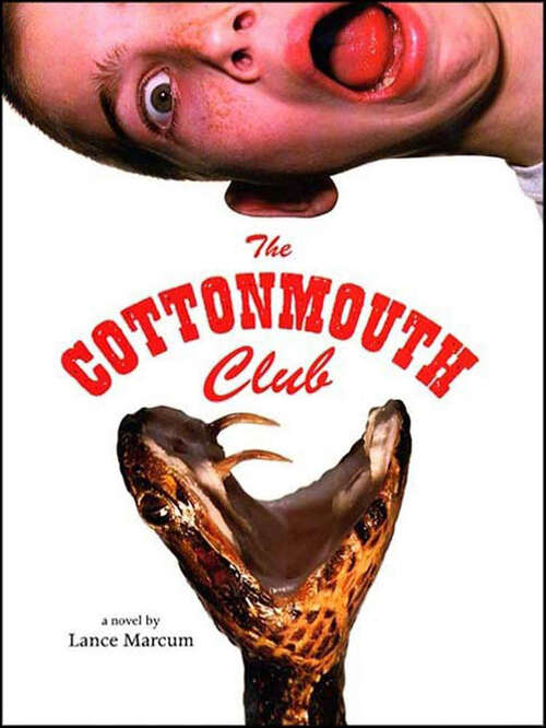 Book cover of The Cottonmouth Club: A Novel