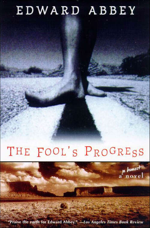 Book cover of The Fool's Progress: An Honest Novel