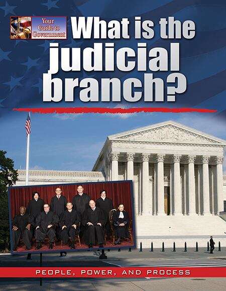 Book cover of What is the Judicial Branch (Your Guide to Government)