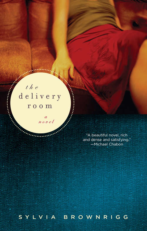 Book cover of The Delivery Room: A Novel