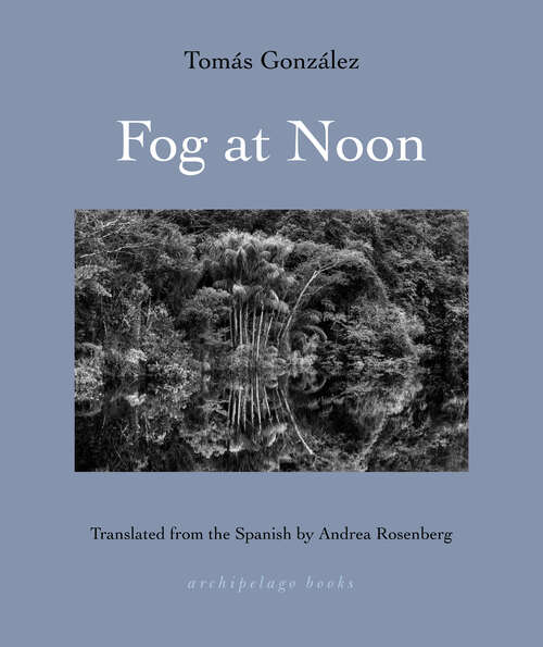 Book cover of Fog at Noon