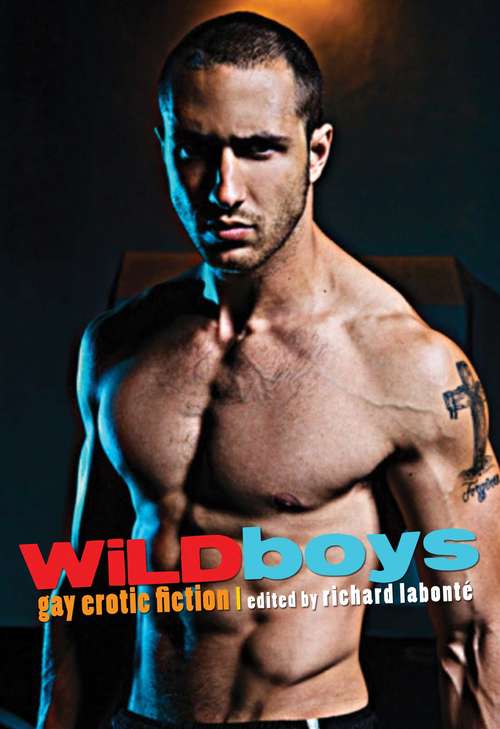 Book cover of Wild Boys: Gay Erotic Fiction