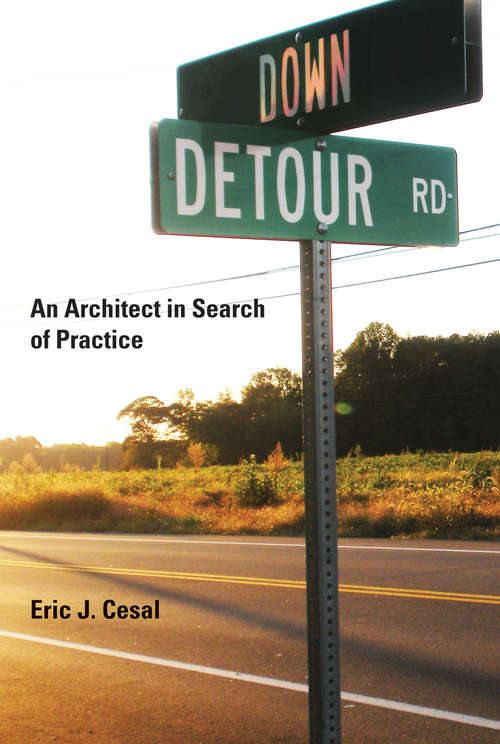 Book cover of Down Detour Road: An Architect in Search of Practice