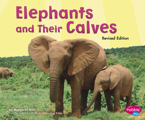 Book cover of Elephants and Their Calves (Animal Offspring Ser.)