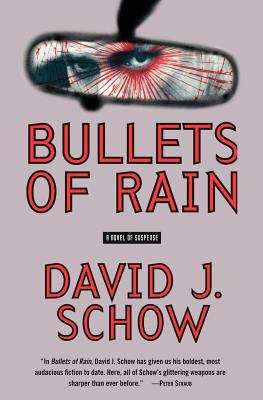 Book cover of Bullets of Rain