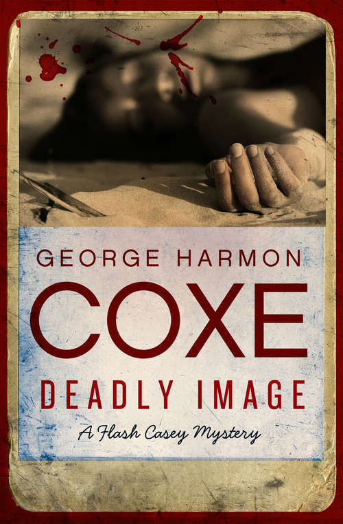 Book cover of Deadly Image (The Flash Casey Mysteries #5)