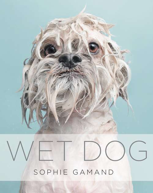 Book cover of Wet Dog