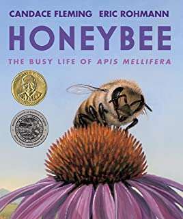 Book cover of Honeybee The Busy Life of Apis Mellifera: The Busy Life Of Apis Mellifera