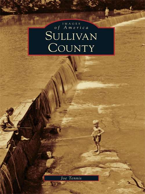 Book cover of Sullivan County