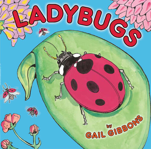 Book cover of Ladybugs