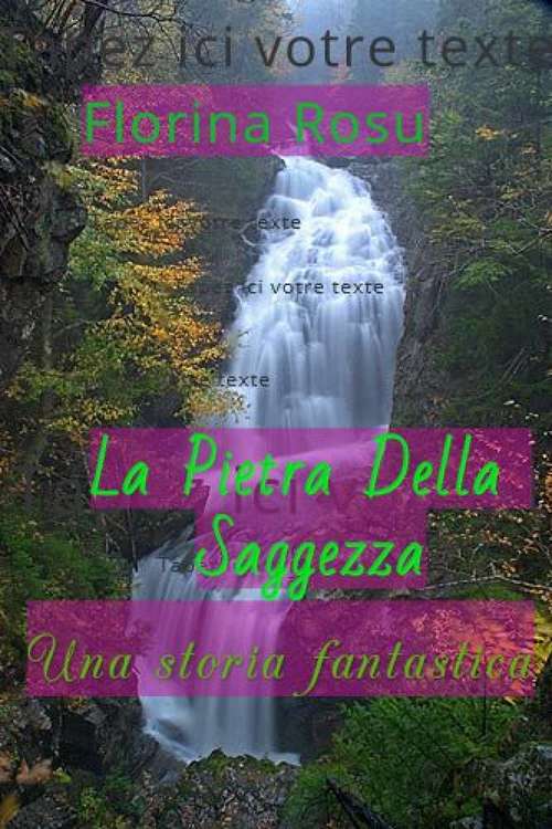 Book cover of La Pietra della Saggezza