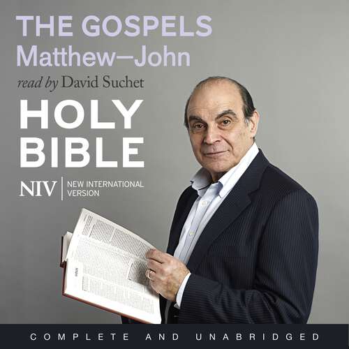 Book cover of NIV Bible: Matthew-John (New International Version)