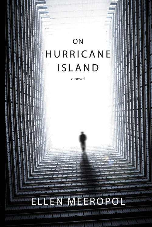 Book cover of On Hurricane Island: A Novel