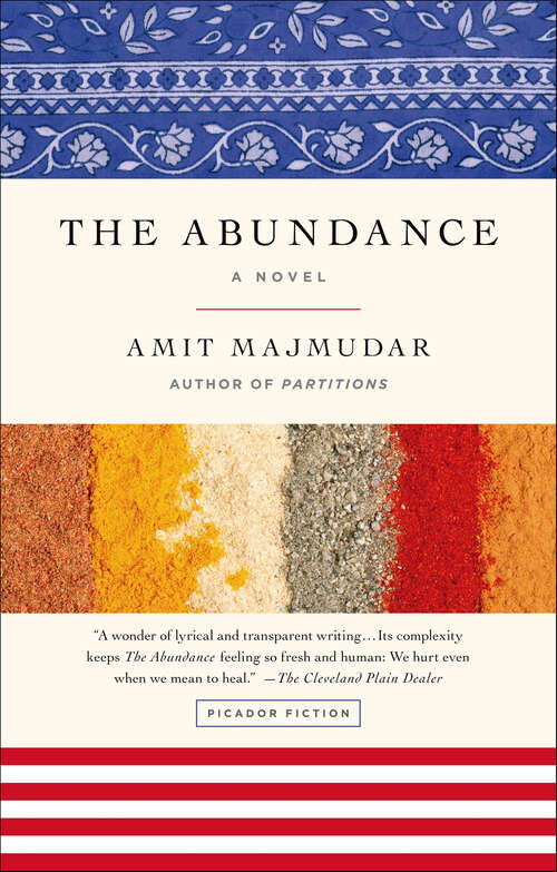 Book cover of The Abundance: A Novel