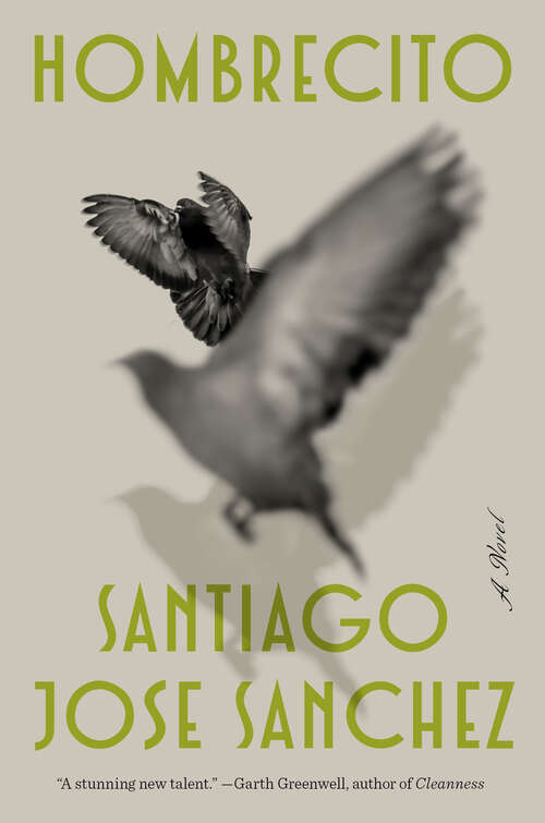 Book cover of Hombrecito: A Novel