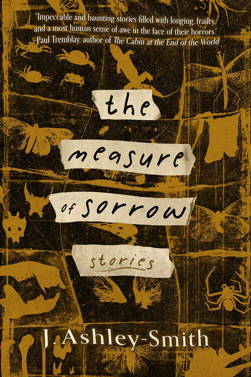 Book cover of The Measure of Sorrow: Stories