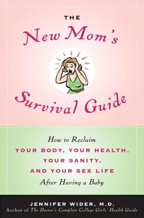 Book cover of The New Mom's Survival Guide