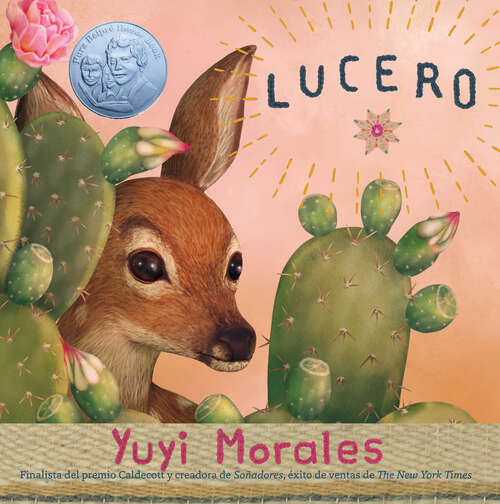 Book cover of Lucero