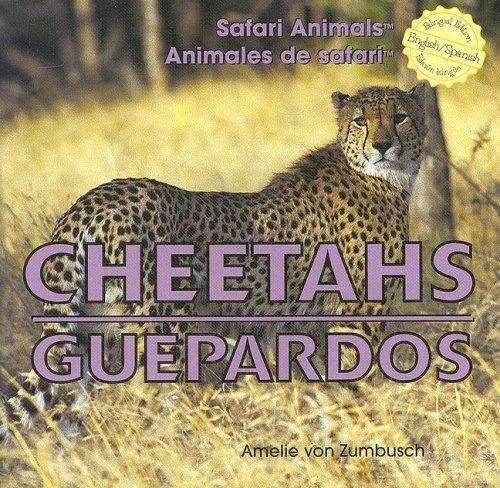 Book cover of Cheetahs Guepardos