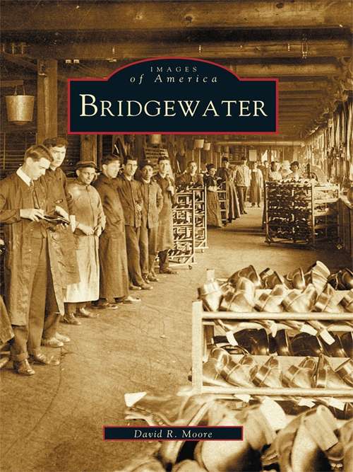 Book cover of Bridgewater