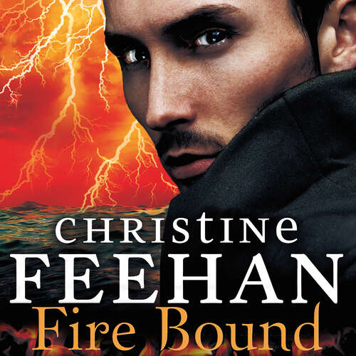 Book cover of Fire Bound (Sea Haven #5)
