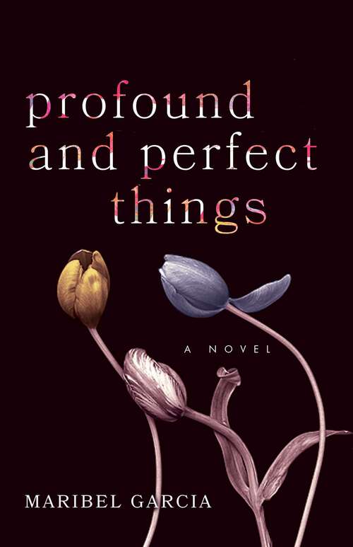 Book cover of Profound and Perfect Things: A Novel