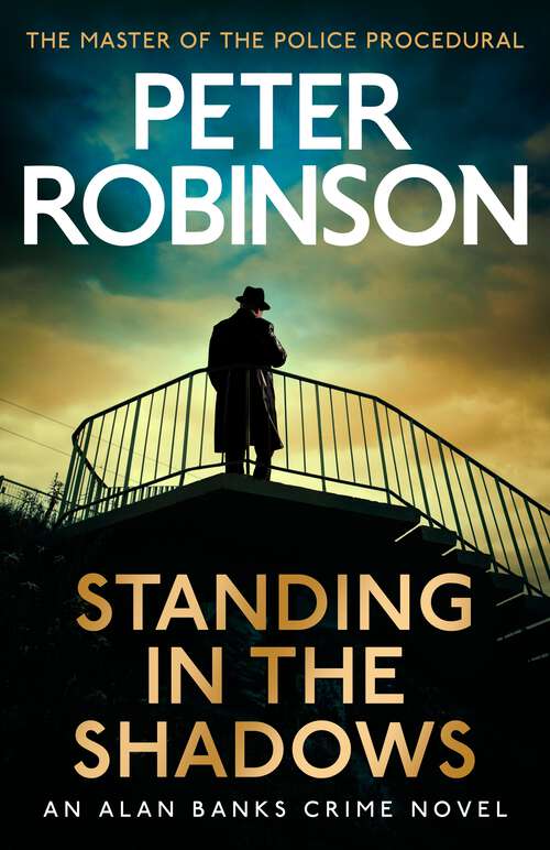 Book cover of Standing in the Shadows