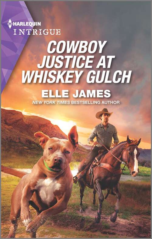 Book cover of Cowboy Justice at Whiskey Gulch (Original) (The Outriders Series #6)