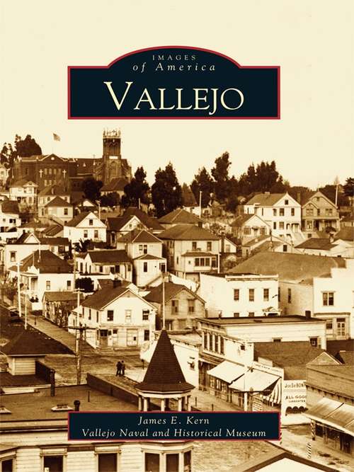 Book cover of Vallejo