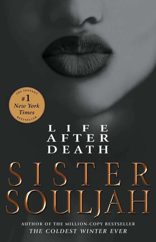 Book cover of Life After Death: A Novel (The Winter Santiaga Series #2)