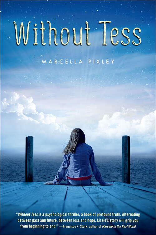 Book cover of Without Tess