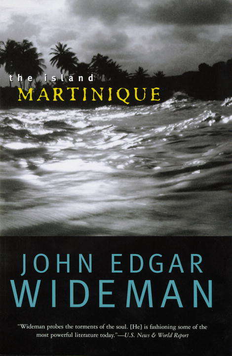 Book cover of The Island: Martinique