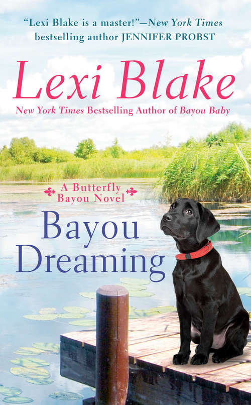 Book cover of Bayou Dreaming (Butterfly Bayou #3)