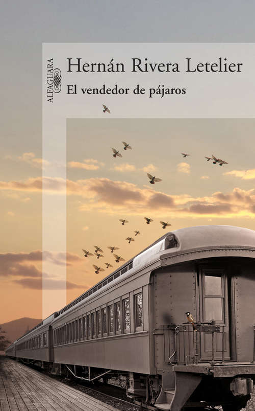 Book cover of El vendedor de pájaros