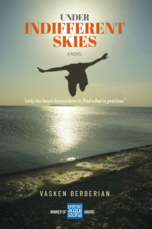 Book cover of Under Indifferent Skies