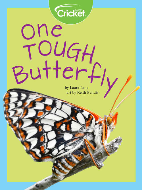 Book cover of One Tough Butterfly