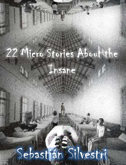 Book cover of 22 Micro Stories About the Insane