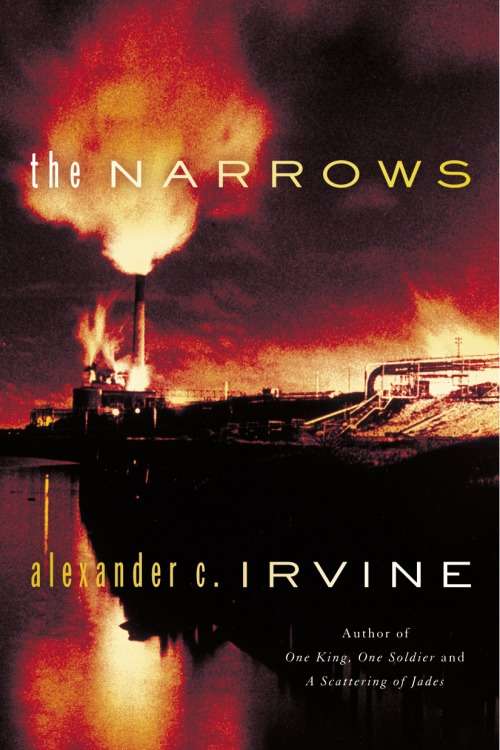 Book cover of The Narrows: A Novel