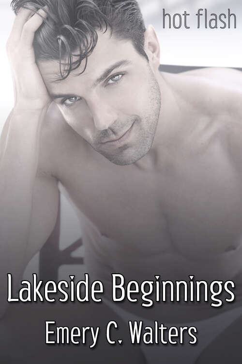 Book cover of Lakeside Beginnings