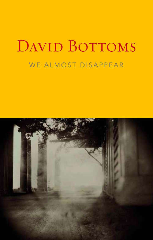 Book cover of We Almost Disappear