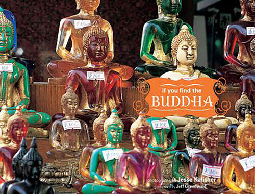 Book cover of If You Find the Buddha