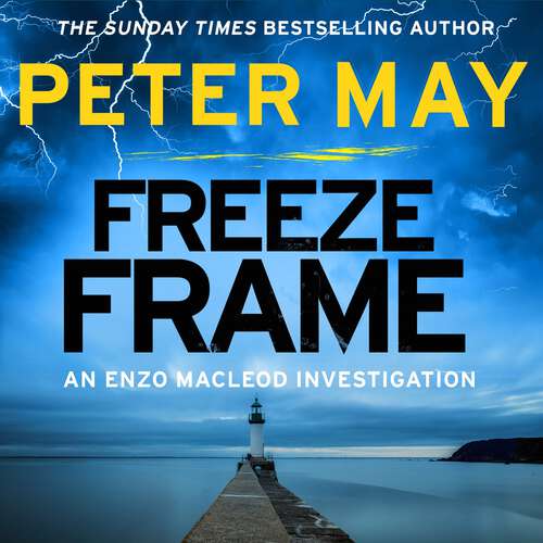 Book cover of Freeze Frame: An engrossing instalment in the cold-case Enzo series (The Enzo Files Book 4) (The Enzo Files #4)