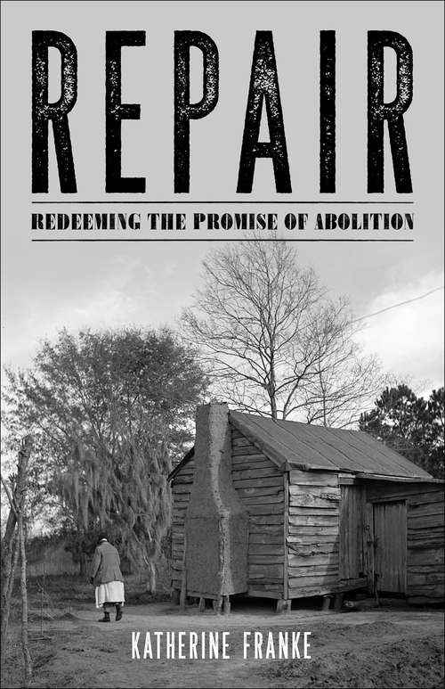 Book cover of Repair: Redeeming the Promise of Abolition