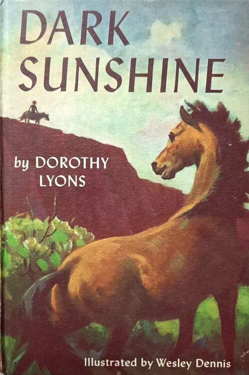 Book cover of Dark Sunshine