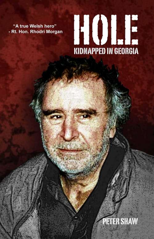 Book cover of Hole: Kidnapped in Georgia